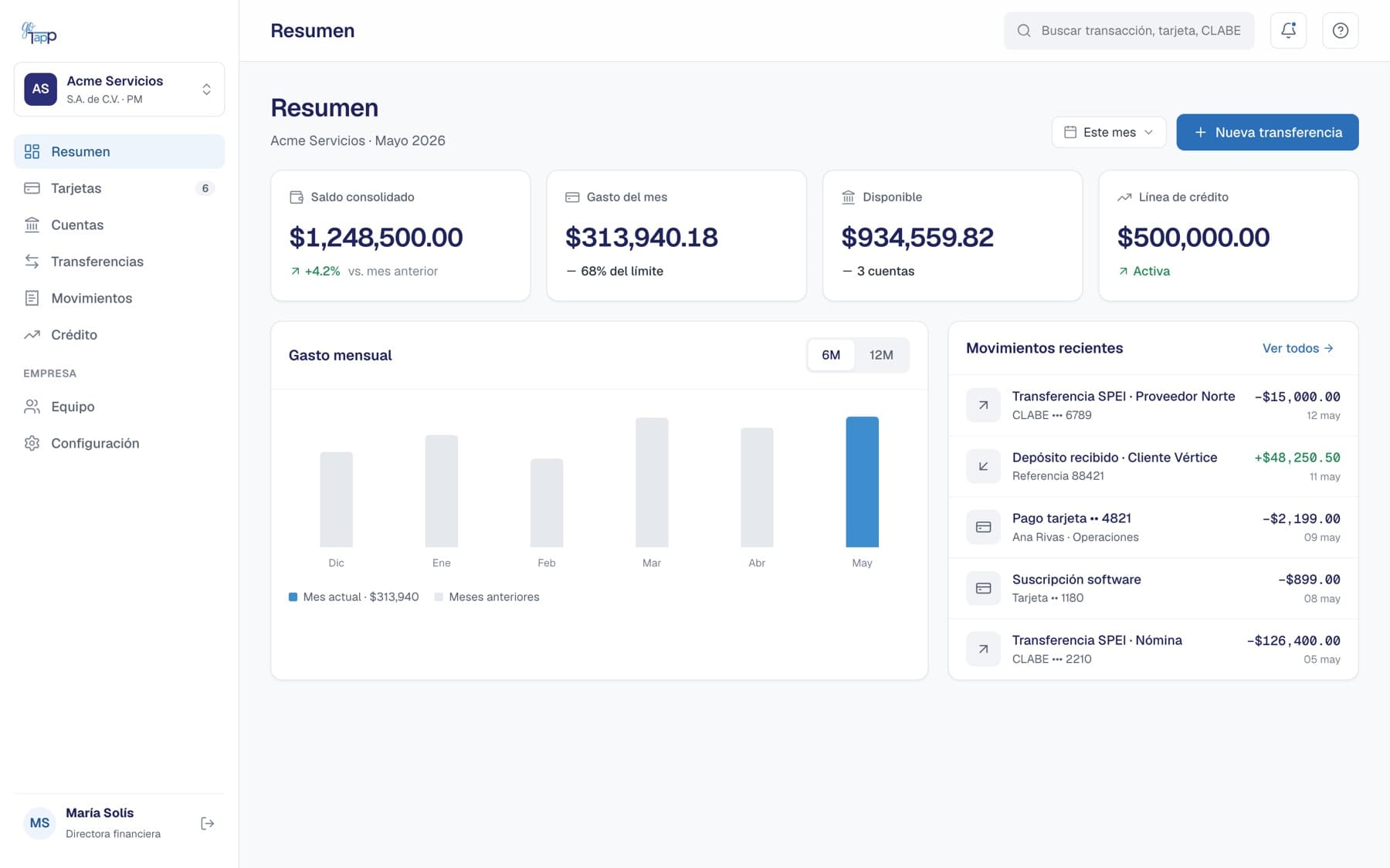 GoTapp portal Summary screen with consolidated balance, spend for the month and recent transactions